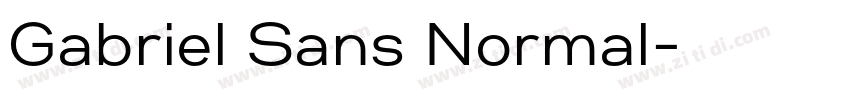 Gabriel Sans Normal字体转换